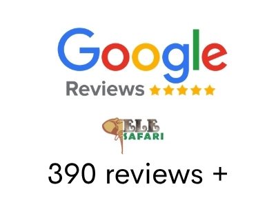Google Review elesafari