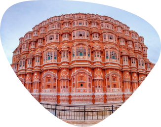 Get introduced with your Elephant