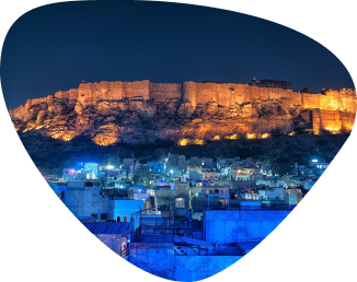 Get introduced with your Elephant