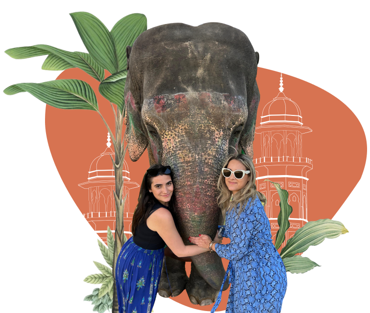 Elephant with Girls