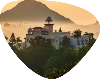 Learn the Elephant Language