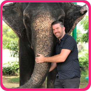 Get introduced with your Elephant