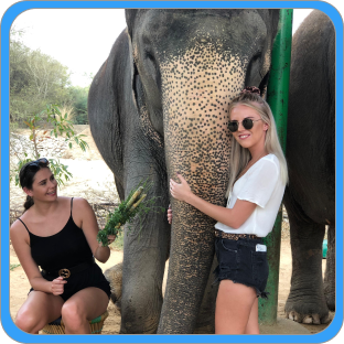 Learn the Elephant Language