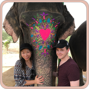 Get introduced with your Elephant