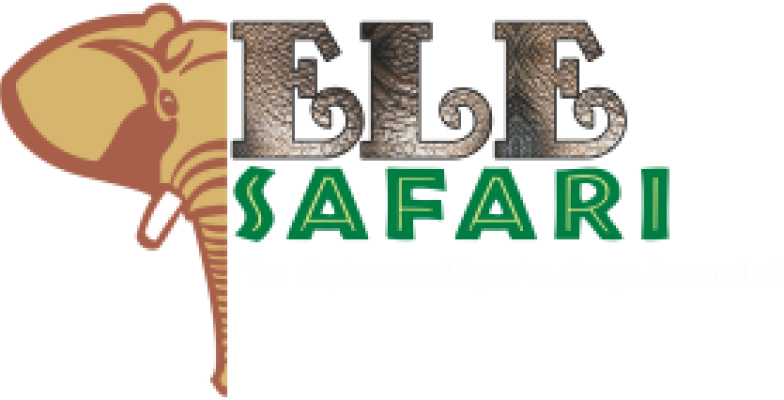 elesafari
