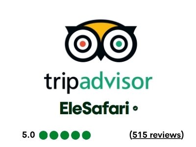 Trip Advisor elesafari